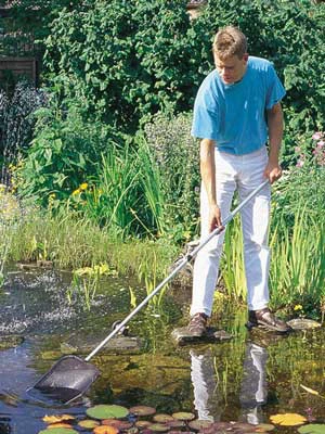 Algenkescher Klein (Art.Nr. 36298) 4 Algenkescher Klein (Art.Nr. 36298) - Image 2