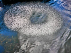 AquaOxy Belüfterring D 60 Cm Von OASE (Art.Nr. 88667) -Gartenserien Laden beluefterring 3 1280x1280