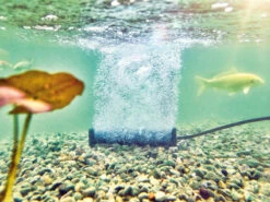 AquaOxy Belüfterstab L Von OASE (Art.Nr. 88669) -Gartenserien Laden beluefterstab l 2 1280x1280