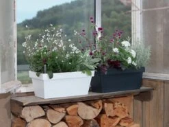 Blumenkasten Cube Case -Gartenserien Laden blumenkasten cube case bepf 1280x1280