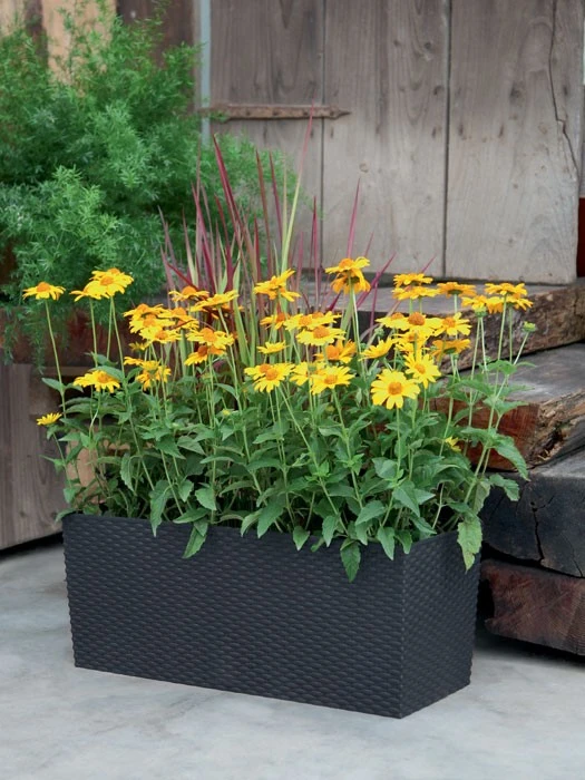 Blumenkasten Rato Case In Flechtoptik 5 Blumenkasten Rato Case In Flechtoptik - Image 3