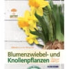 BdB-Handbuch ''Blumenzwiebeln'' 2 BdB-Handbuch ''Blumenzwiebeln'' -Gartenserien Laden blumenzwiebeln 1280x1280