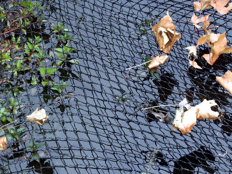 Cover Net Von Velda 4 Cover Net Von Velda - Image 2