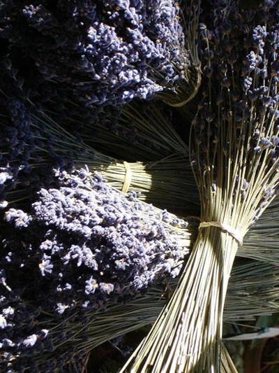 Duftkräutersortiment 3 Duftkräutersortiment