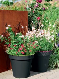 Pflanzkübel E&K Bicolor -Gartenserien Laden eundk bicolor rund57fc9f0e47970 1280x1280