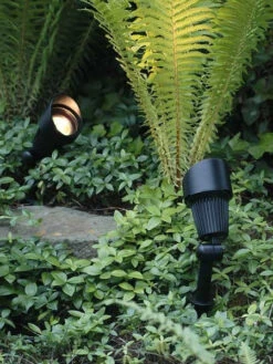 Spotstrahler Komplettset 'Focus' Von Garden-Lights (Art.Nr. 3151014) -Gartenserien Laden focus 2 79029 1 1280x1280 1280x1280
