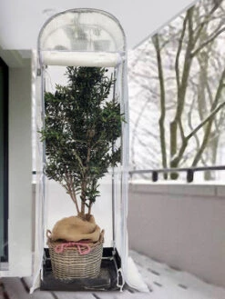 Frost-Schutzhaus SNOW (Art.Nr. V29933) -Gartenserien Laden frost schutzhaus winter 1280x1280