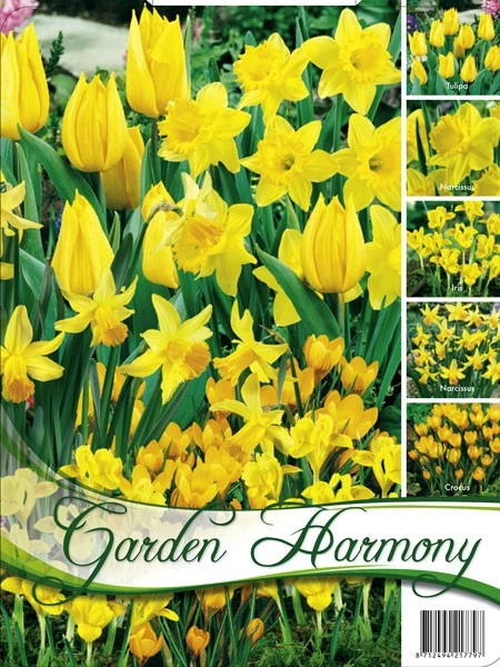 Edle Farbkombination 'Gelber Garten' (Art.Nr. 598245) 3 Edle Farbkombination 'Gelber Garten' (Art.Nr. 598245)