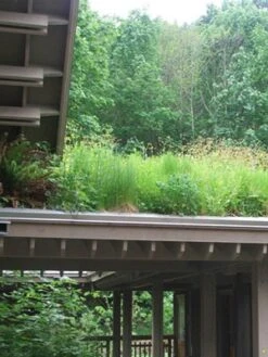 Gründach-Paket Für 15 Qm Dachfläche -Gartenserien Laden gruendachpaket carport 1280x1280