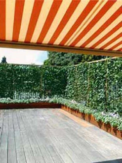 Hedera Helix 'Woerneri' - Immergrüner Efeu - XXL-Produkt 11 Hedera Helix 'Woerneri' - Immergrüner Efeu - XXL-Produkt -Gartenserien Laden hecke und balkon j1 78685 4 1280x1280