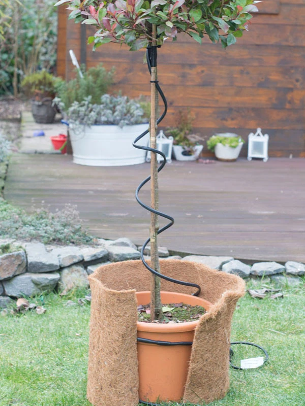 Frostschutz-Heizkabel Für Kübelpflanzen 3 Frostschutz-Heizkabel Für Kübelpflanzen