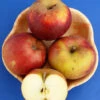 Apfel Roter Boskoop