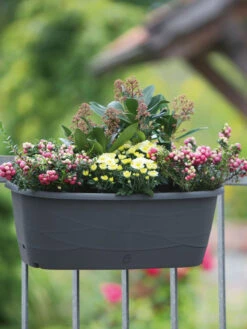 Blumenkasten 'Maya' -Gartenserien Laden maya stimmung5a1ff64608288 1280x1280