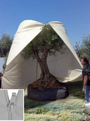 Winterschutzhaube 'Mediterran' In Großformat (Art.Nr. Vi28158) 3 Winterschutzhaube 'Mediterran' In Großformat (Art.Nr. Vi28158)