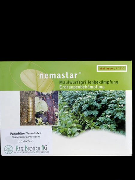 Maulwurfsgrillen-Nematode (Art.Nr. KB4166) 3 Maulwurfsgrillen-Nematode (Art.Nr. KB4166)
