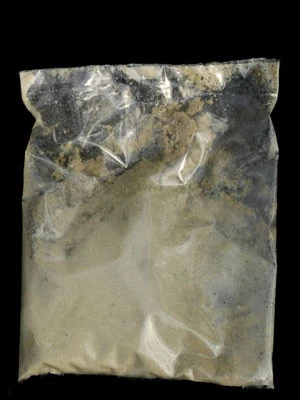 Trauermücken-Nematode (Art.Nr. KB4136) 4 Trauermücken-Nematode (Art.Nr. KB4136) - Image 2