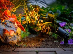 Garten-Spotstrahler 'Neso' Von Garden-Lights (Art.Nr. 2606061) -Gartenserien Laden neso 3 1280x1280