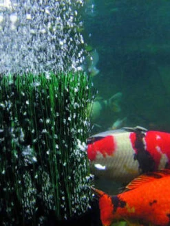 OxyTex 1000 CWS Von OASE (Art.Nr. 50290) -Gartenserien Laden oxytex 3 1 1280x1280