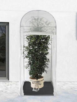 Frost-Schutzhaus PALM-PROTECT (Art.Nr. V29891) 9 Frost-Schutzhaus PALM-PROTECT (Art.Nr. V29891) -Gartenserien Laden palm protect beispiel 1280x1280