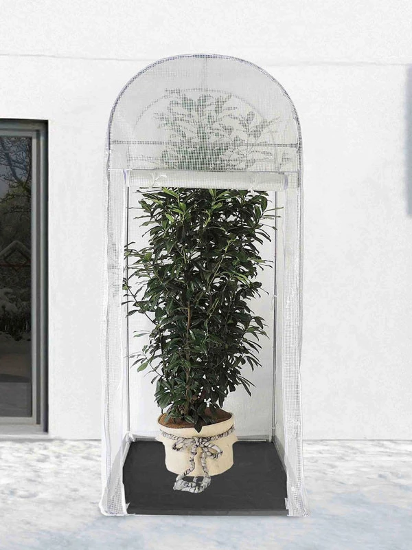 Frost-Schutzhaus PALM-PROTECT (Art.Nr. V29891) 4 Frost-Schutzhaus PALM-PROTECT (Art.Nr. V29891) - Image 2