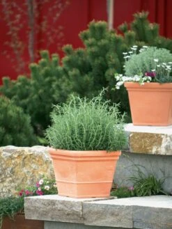 Pflanzkübel Parma -Gartenserien Laden pflanzkuebel parma bepflanz 1280x1280