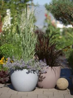 Pflanzkübel Rimini -Gartenserien Laden pflanzkuebel rimini stimmun 1280x1280