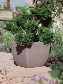 Pflanztopf Ravenna -Gartenserien Laden pflanztopf ravenna stimmung 1280x1280