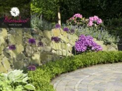 Rhododendron 'Bloombux®' -Gartenserien Laden rhododendron bloombux 1280x1280