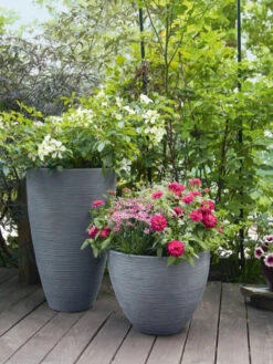 Pflanzkübel Rund Rillentopf -Gartenserien Laden rillentopf rund bepflanzt 1280x1280