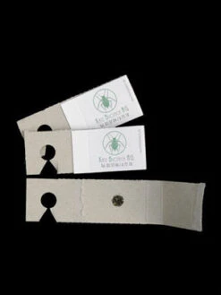 Schlupfwespe (Art.Nr. KB3056) -Gartenserien Laden schlupfwespe versand verpac 80549 2 1280x1280