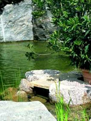 BIOsys Skimmer+ Von OASE (Art.Nr.57137) 4 BIOsys Skimmer+ Von OASE (Art.Nr.57137) - Image 2