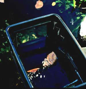 BIOsys Skimmer+ Von OASE (Art.Nr.57137) 5 BIOsys Skimmer+ Von OASE (Art.Nr.57137) - Image 3