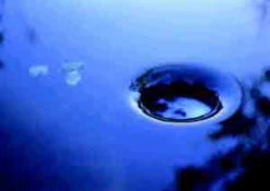 AquaSkim 40, Oberflächenabsauger Von OASE (Art.Nr.56907) -Gartenserien Laden skimmer j1 1280x1280