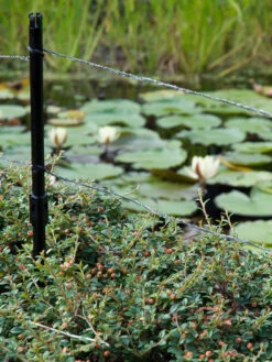 Ultra Protector Von Velda (Art.Nr.Vel128026) -Gartenserien Laden ultraprotector 2 1280x1280