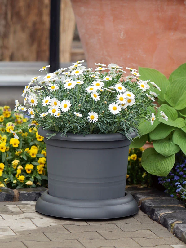 Untersetzer Mit Rollen 5 Untersetzer Mit Rollen - Image 3