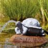 Wasserspeier Schildkröte (Art.Nr. 36778)